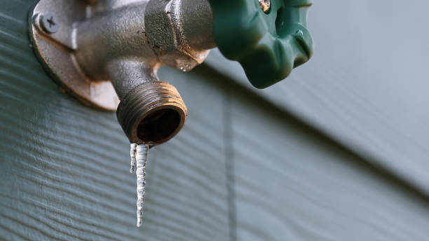 Best Plumbing Inspection Services  in Westminster, SC